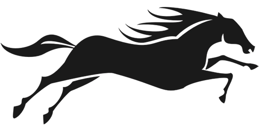 South Coast Limousine Service