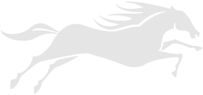 South Coast Limousine Service